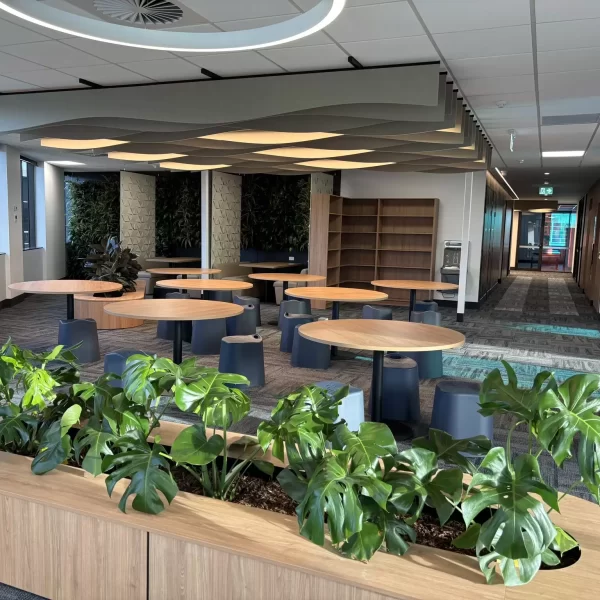 Modern office collaboration hub featuring timber tables, integrated planter boxes, biophilic design elements, feature ceiling panels, and flexible breakout seating in a contemporary workplace.